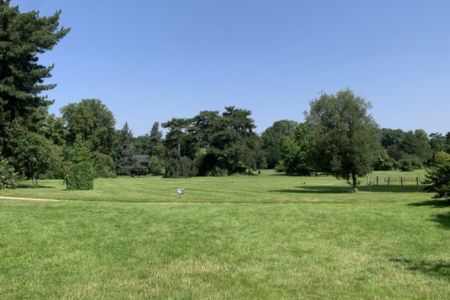 Bois de Boulogne - Team building grand groupe en extérieur